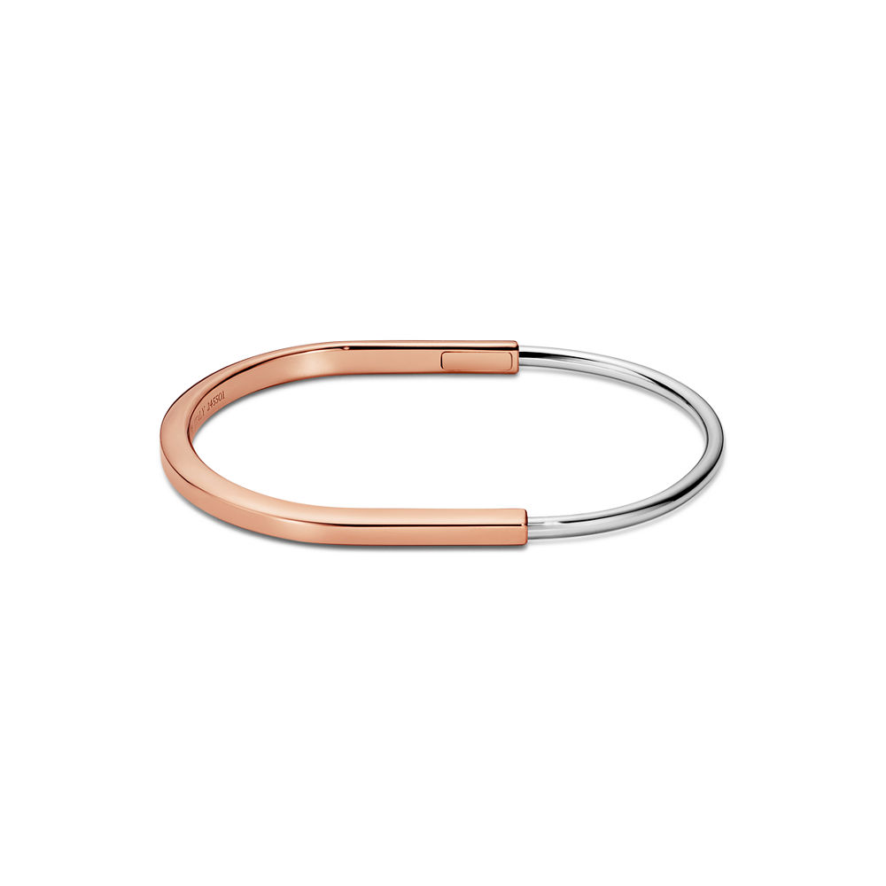 Bracelet Charm Jonc Élégant Premium
