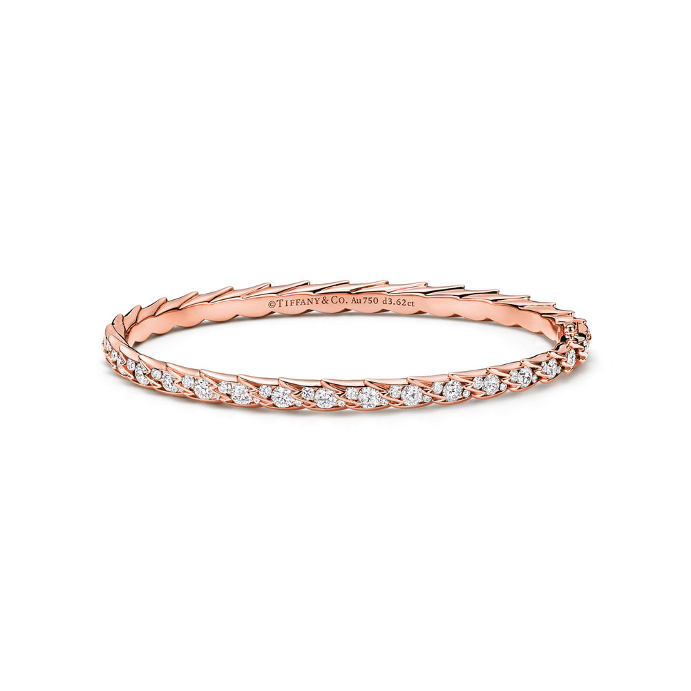 Bracelet Charm Jonc Élégant Lumineux