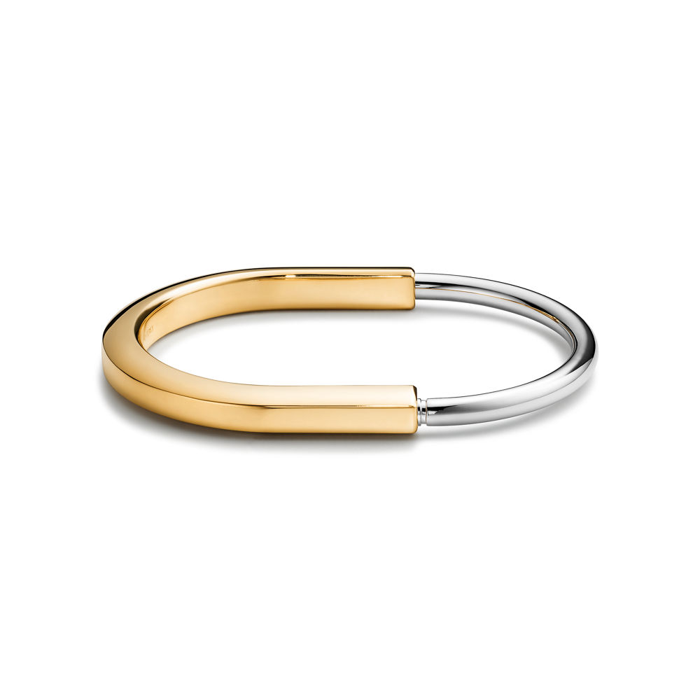 Bracelet Maillons Jonc Élégant Premium